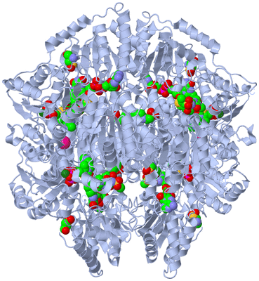 Image Biological Unit 1