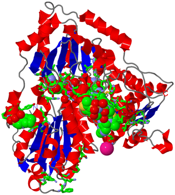 Image Asym. Unit - sites