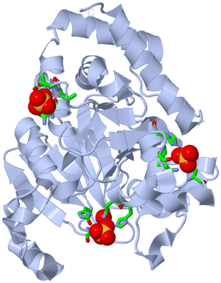 Image Biol. Unit 1 - sites