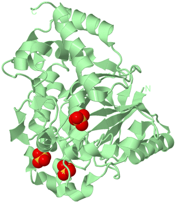 Image Biological Unit 2