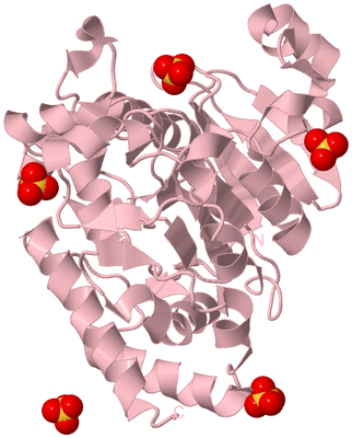 Image Biological Unit 3