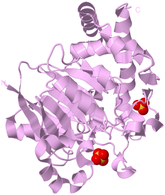 Image Biological Unit 5