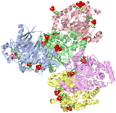 Image Asym. Unit - sites