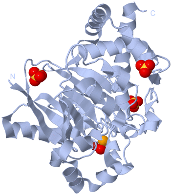 Image Biological Unit 1