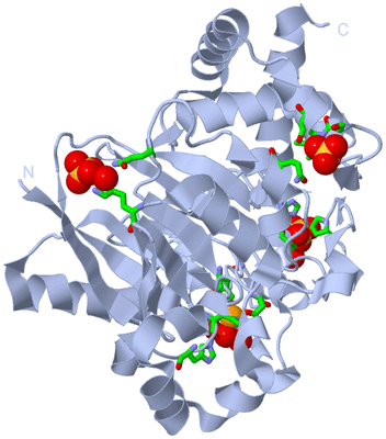 Image Biol. Unit 1 - sites