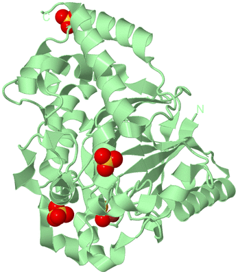 Image Biological Unit 2