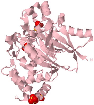 Image Biological Unit 3