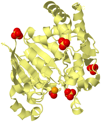 Image Biological Unit 4