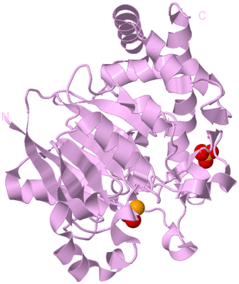 Image Biological Unit 5