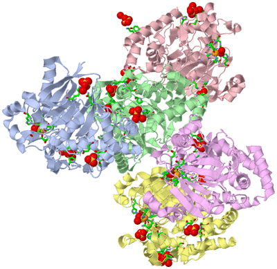 Image Asym. Unit - sites