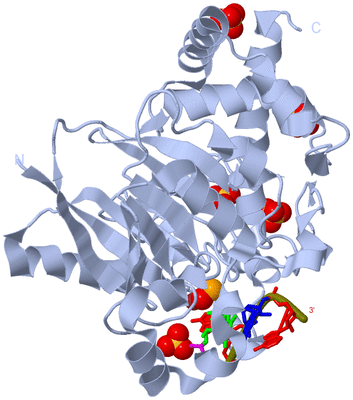 Image Biological Unit 1