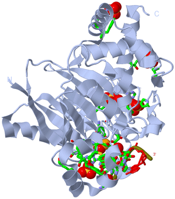 Image Biol. Unit 1 - sites