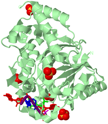 Image Biological Unit 2