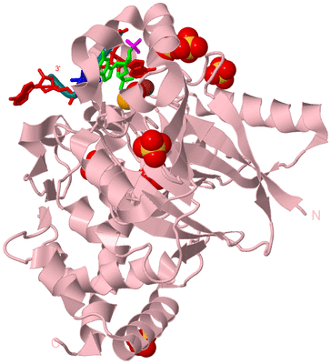 Image Biological Unit 3