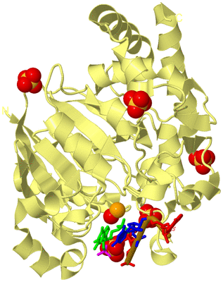 Image Biological Unit 4