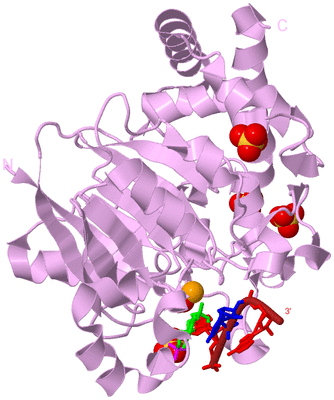 Image Biological Unit 5