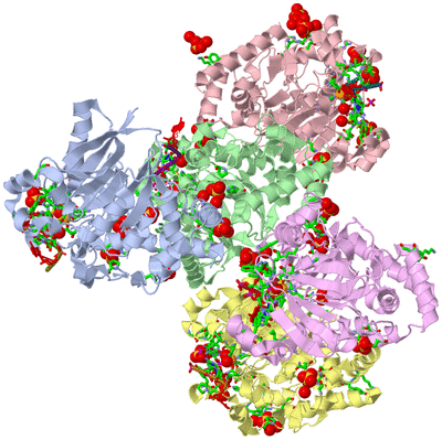 Image Asym. Unit - sites