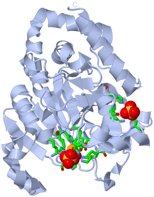 Image Biol. Unit 1 - sites