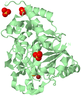 Image Biological Unit 2