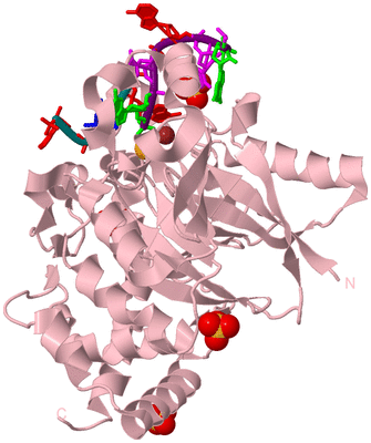 Image Biological Unit 3