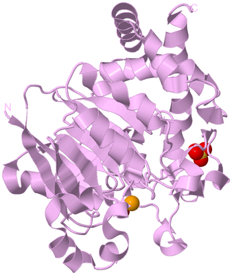 Image Biological Unit 5