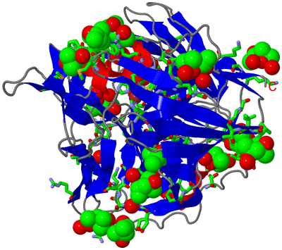 Image Asym./Biol. Unit - sites