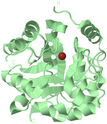 Image Biological Unit 2