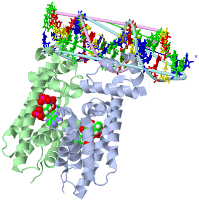 Image Biological Unit 1