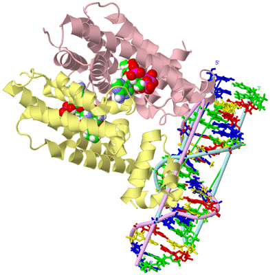 Image Biological Unit 2