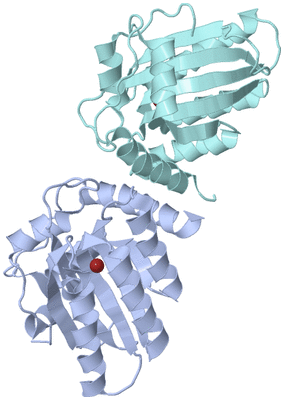 Image Biological Unit 1