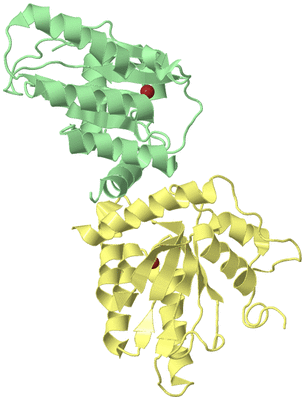 Image Biological Unit 2