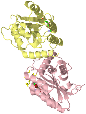 Image Biol. Unit 1 - sites