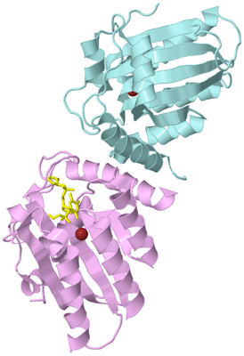 Image Biological Unit 2