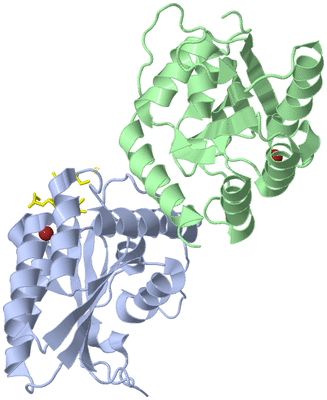 Image Biological Unit 3