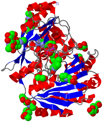 Image Asym./Biol. Unit