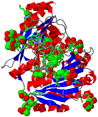 Image Asym./Biol. Unit - sites