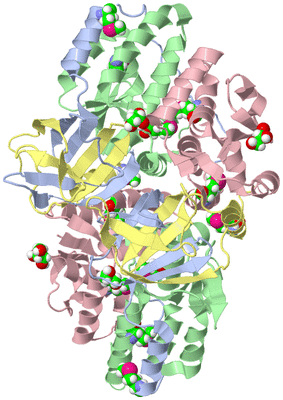 Image Biological Unit 1