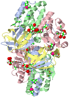 Image Biol. Unit 1 - sites