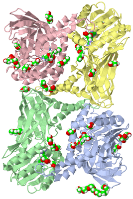 Image Asym./Biol. Unit