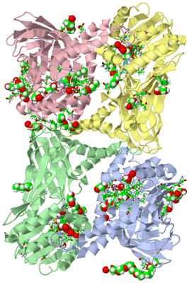 Image Asym./Biol. Unit - sites