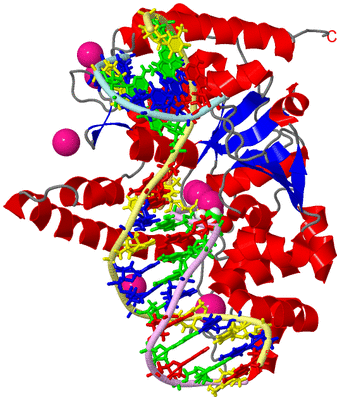 Image Asym./Biol. Unit