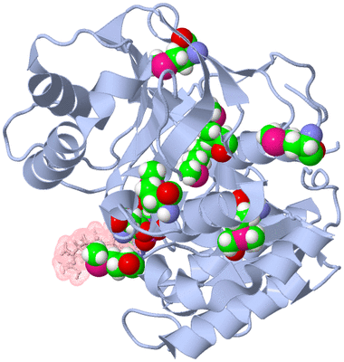 Image Biological Unit 1