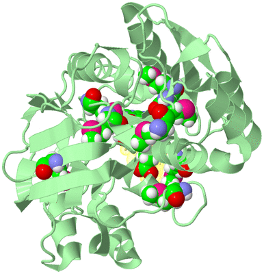 Image Biological Unit 2