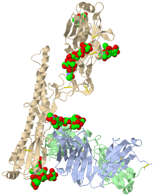 Image Biological Unit 1