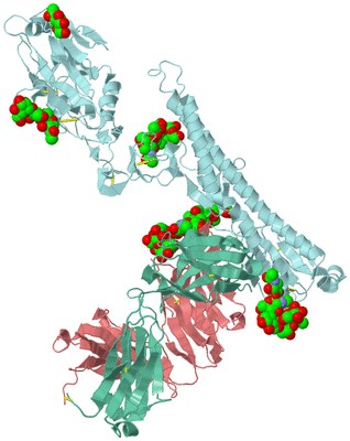 Image Biological Unit 2