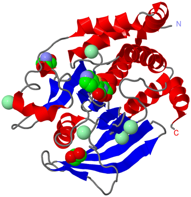 Image Asym./Biol. Unit