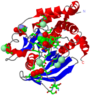 Image Asym./Biol. Unit - sites