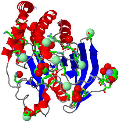 Image Asym./Biol. Unit - sites