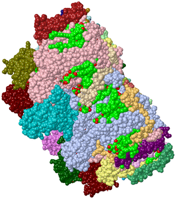 Image Asym./Biol. Unit