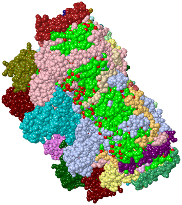 Image Asym./Biol. Unit - sites